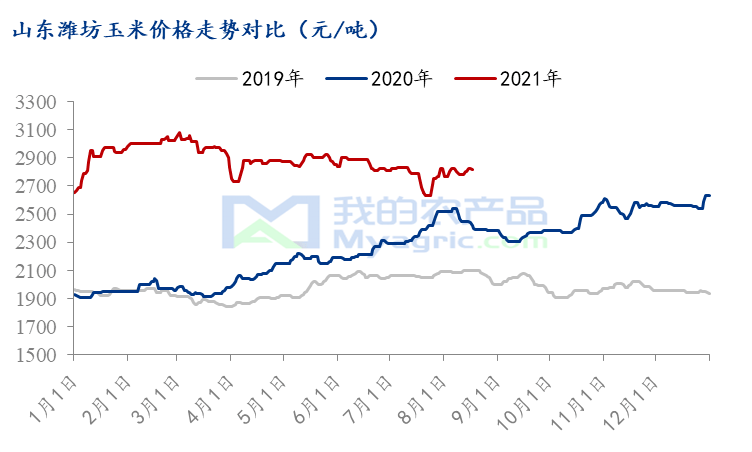 玉米最新行情价格及分析概览