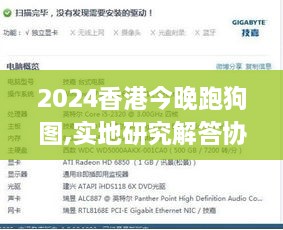 2024香港今晚跑狗图,实地研究解答协助_移动版DTE2.36