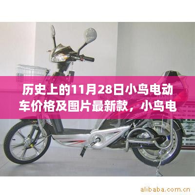 小鸟电动车，历史价格回顾与最新款图片展示，穿越时空的温馨之旅