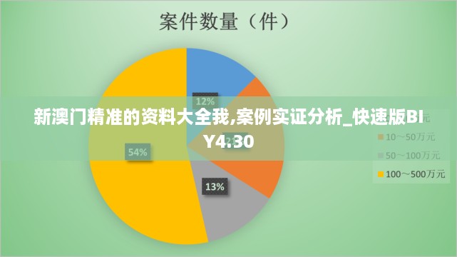 新澳门精准的资料大全我,案例实证分析_快速版BIY4.30