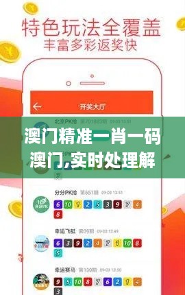 澳门精准一肖一码澳门,实时处理解答计划_高级版RXT4.19