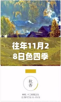 往年11月28日四季色彩纪实，诗意流转与小红书上的风情纪实