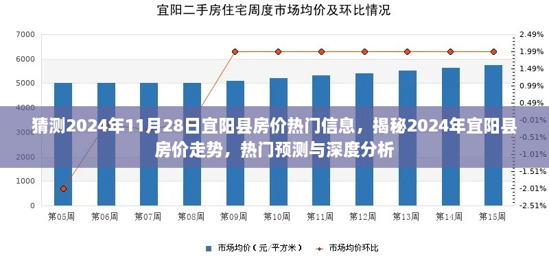 2024年11月 第46页