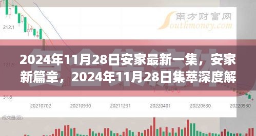 安家新篇章，深度解析2024年11月28日集萃