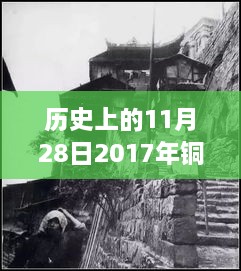 2024年11月 第42页