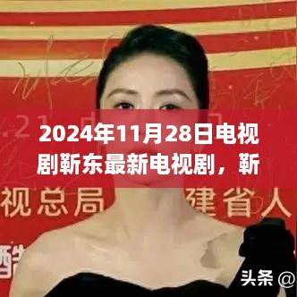 靳东最新电视剧，2024年11月28日荧幕新篇章