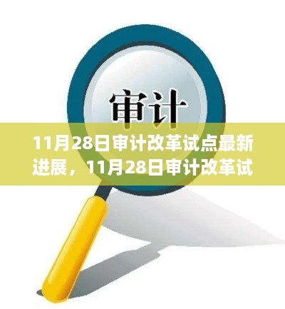 11月28日审计改革试点最新进展全面评测与介绍