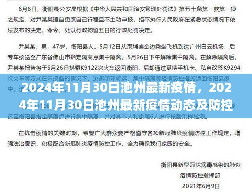 2024年11月30日池州最新疫情动态及防控措施分析报告