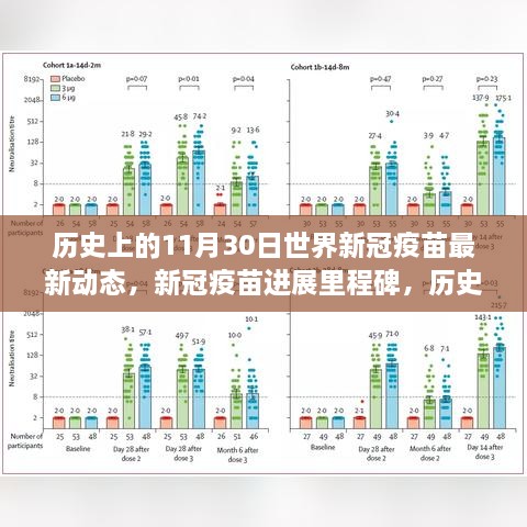 2024年11月 第30页