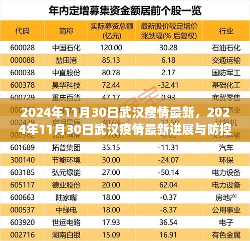 2024年11月30日武汉疫情最新进展及防控措施深度解析