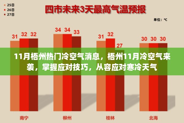 梧州11月冷空气来袭，应对技巧与准备