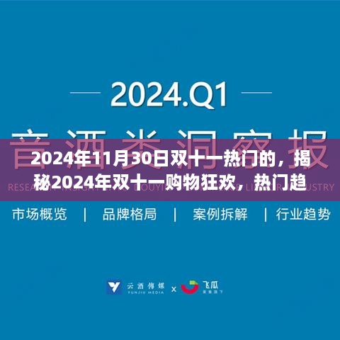 揭秘2024年双十一购物狂欢，热门趋势、亮点与消费洞察解析