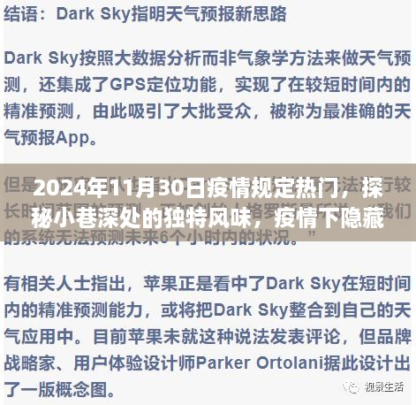 疫情时代独特风味探秘，小巷深处的特色小店故事（2024年11月30日热门规定背景）