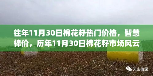 历年11月30日棉花籽市场风云与科技引领的新体验，智慧棉价热门价格概览