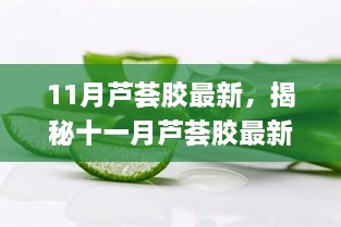 揭秘十一月芦荟胶最新动态，功效、应用与未来趋势展望