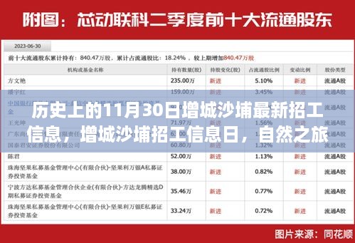 增城沙埔招工信息日，探寻内心宁静港湾的自然之旅