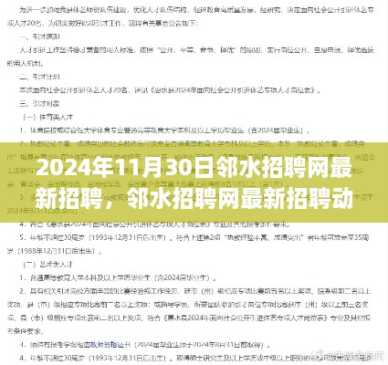 邻水招聘网最新动态，聚焦观点与洞察分析（2024年11月30日）