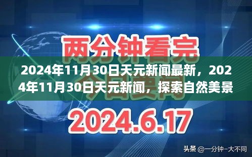 2024年12月1日 第43页