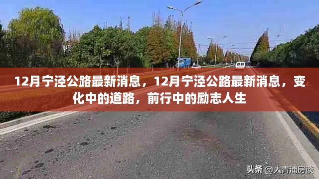 宁泾公路最新动态，道路变迁与励志前行