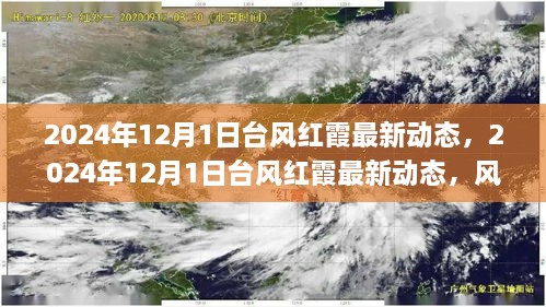 台风红霞最新动态，风暴路径预测与应对准备（2024年12月1日更新）