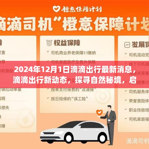 滴滴出行新动态，探寻自然秘境，启程心灵之旅（最新消息2024年）