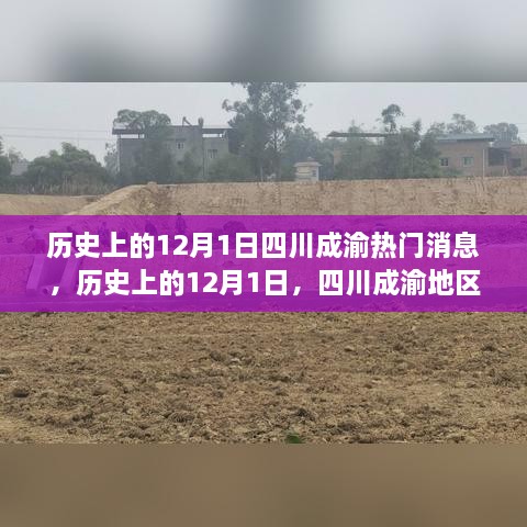 历史上的12月1日四川成渝地区热门事件回顾