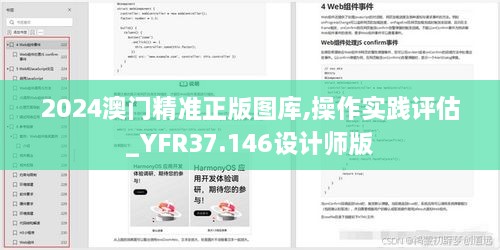 2024澳门精准正版图库,操作实践评估_YFR37.146设计师版