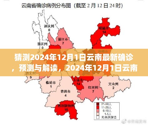 2024年12月1日云南新冠疫情最新确诊动态及预测解读