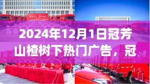 冠芳山楂树下，独特风味与惊喜广告之旅（2024年12月版）