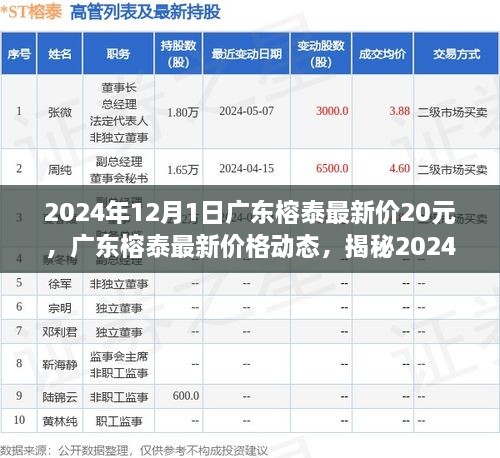 揭秘广东榕泰最新价格动态，揭秘2024年12月1日最新价格及背后因素曝光！