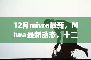 Miwa十二月最新动态，魅力时光里的惊喜不断