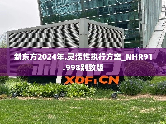 新东方2024年,灵活性执行方案_NHR91.998别致版