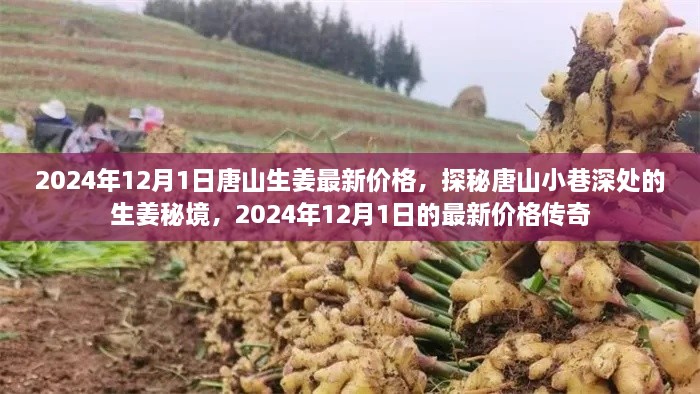 探秘唐山小巷深处的生姜秘境，揭秘2024年唐山生姜最新价格传奇