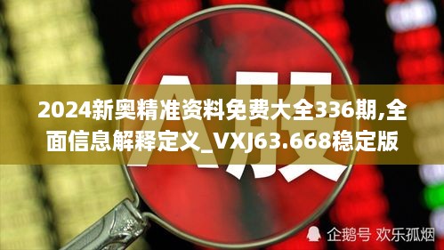 2024新奥精准资料免费大全336期,全面信息解释定义_VXJ63.668稳定版