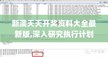 新澳天天开奖资料大全最新版,深入研究执行计划_WMG51.865资源版