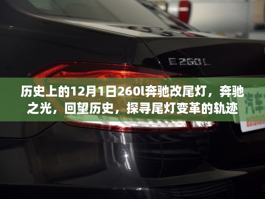 2024年12月2日 第21页