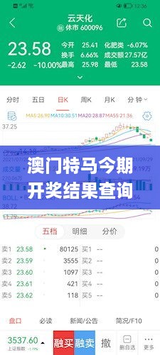 澳门特马今期开奖结果查询337期11月29日星期六,快速响应设计解析_网红版44.680-8