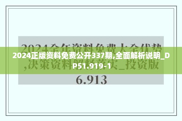 2024正版资料免费公开337期,全面解析说明_DP51.919-1