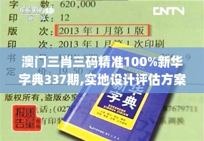 澳门三肖三码精准100%新华字典337期,实地设计评估方案_探索版21.319-7