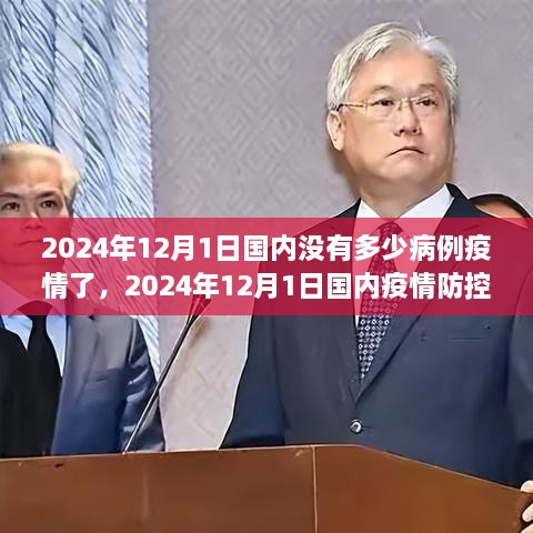 2024年12月1日国内疫情防控成效显著，全面评估与深度解读