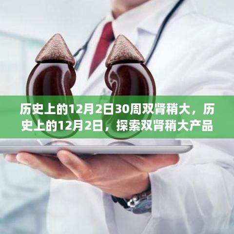 历史上的12月2日，双肾稍大产品的特性与体验探索