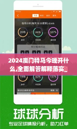 2024澳门特马今晚开什么,全面解答解释落实_经典款85.181-8