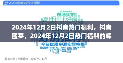 2024年12月2日抖音盛宴，热门福利的辉煌时刻