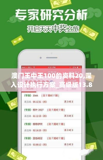 澳门王中王100的资料20,深入设计执行方案_高级版13.846-3