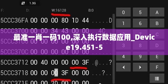 最准一肖一码100,深入执行数据应用_Device19.451-5