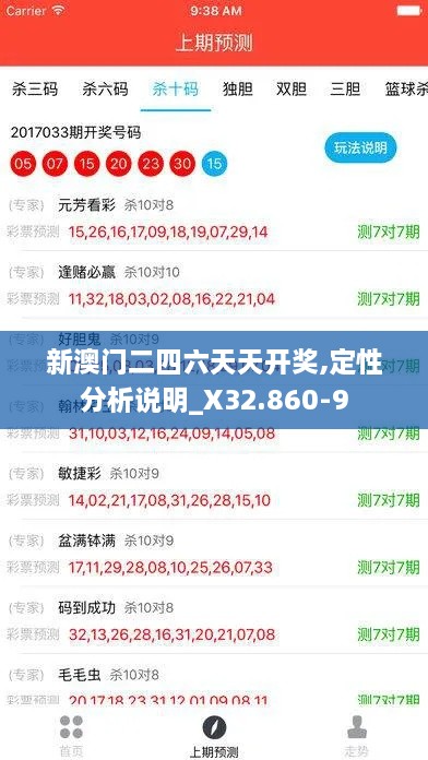 新澳门二四六天天开奖,定性分析说明_X32.860-9