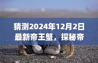 2024年12月3日 第46页