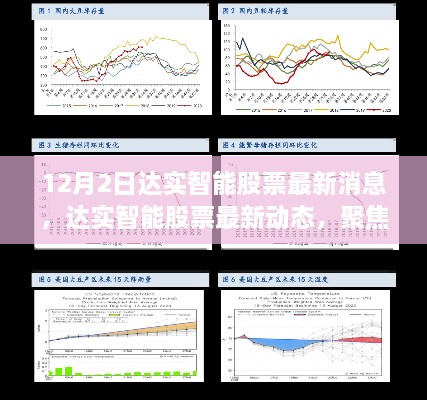 2024年12月3日 第43页