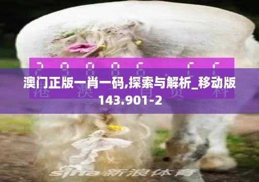 澳门正版一肖一码,探索与解析_移动版143.901-2