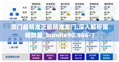 澳门最精准正最精准龙门,深入解析策略数据_bundle90.966-7